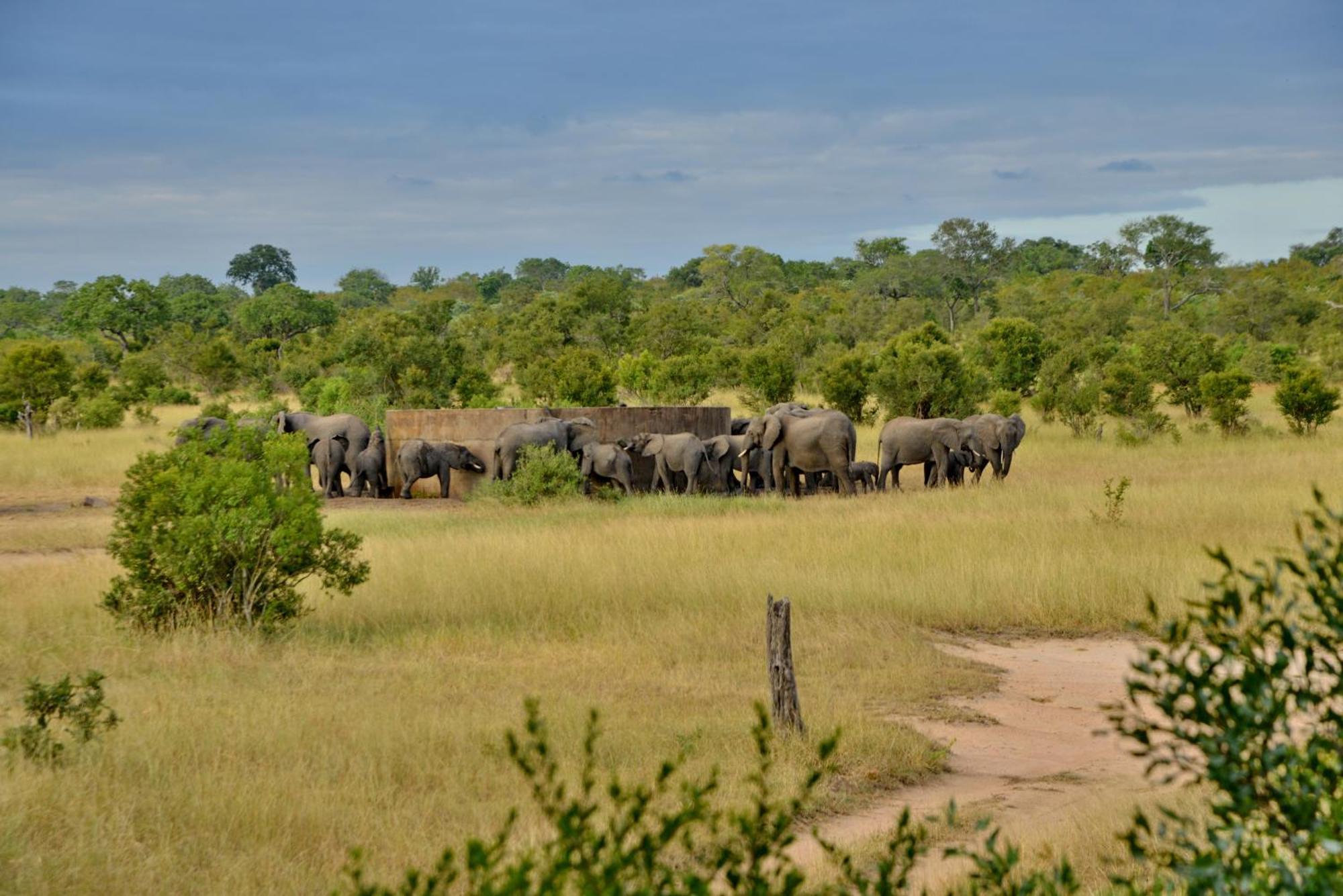 Hotel Rhino Walking Safaris Skukuza Exterior foto