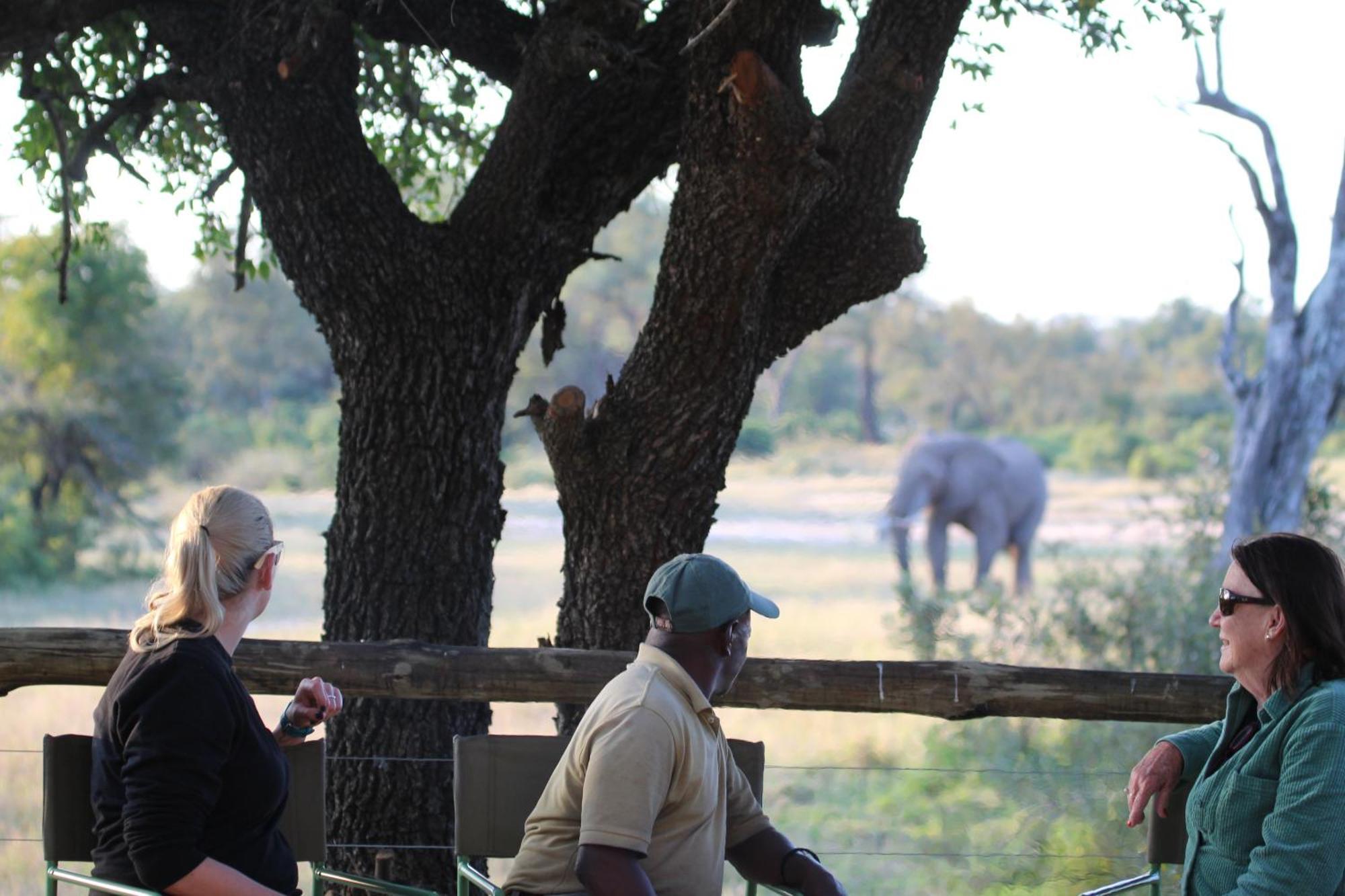 Hotel Rhino Walking Safaris Skukuza Exterior foto