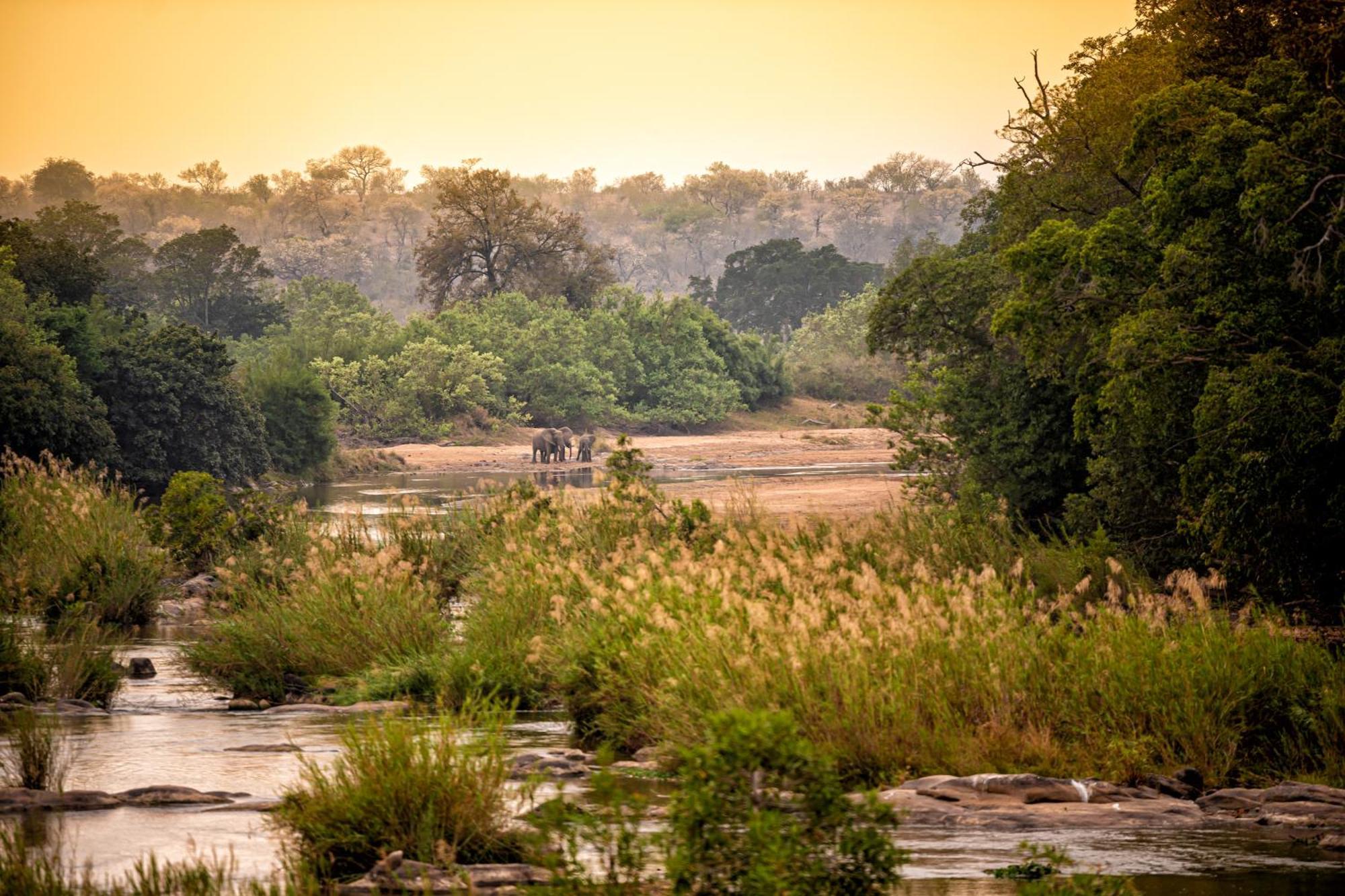 Hotel Rhino Walking Safaris Skukuza Exterior foto